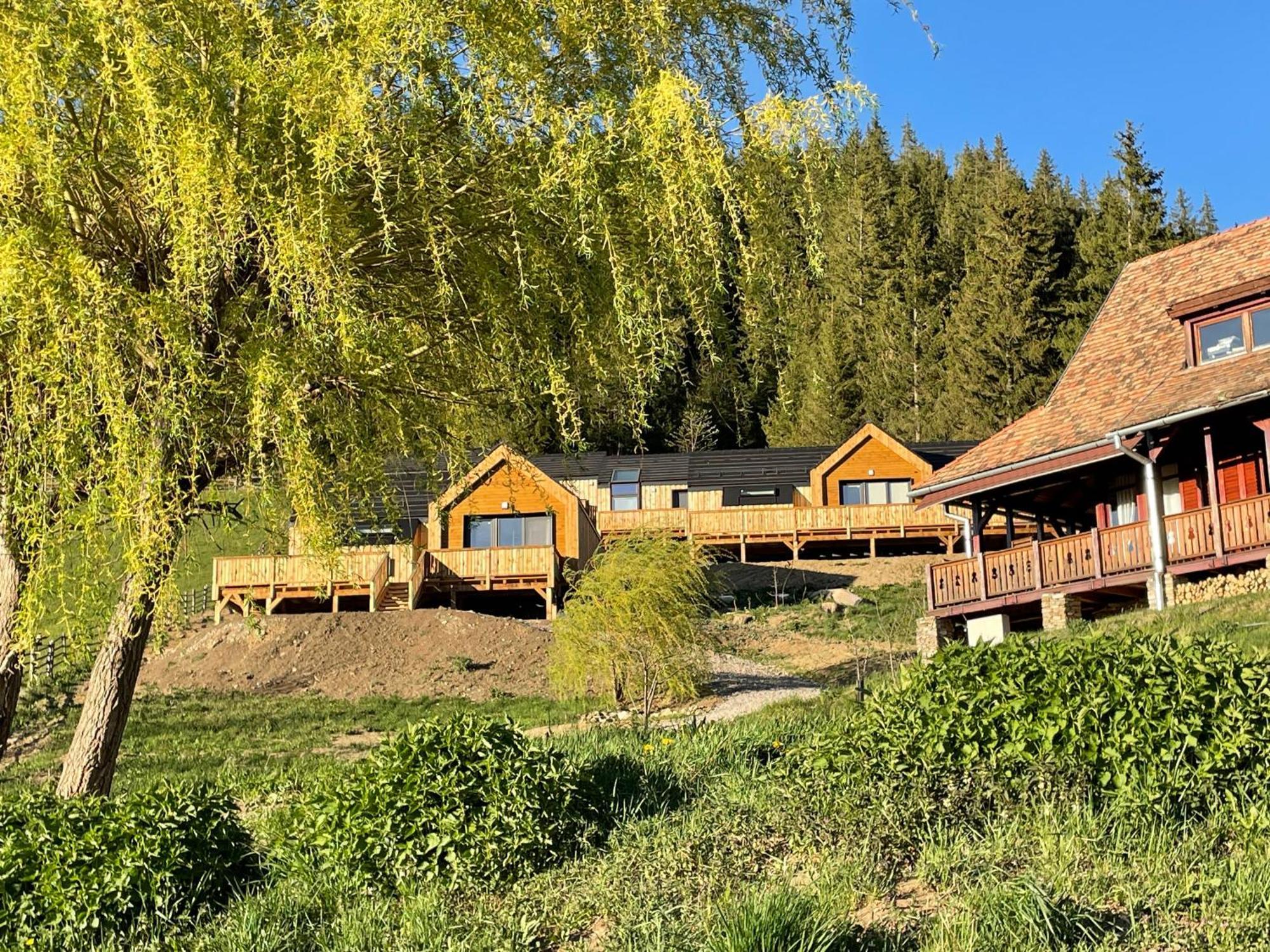 Kaliba Cabins Valea Boros Buitenkant foto